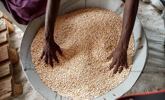 Time running out on development goals as finance dries up, UN warns