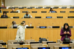 The UN NGO Committee: Civil Society’s Gatekeeper in Hostile Hands